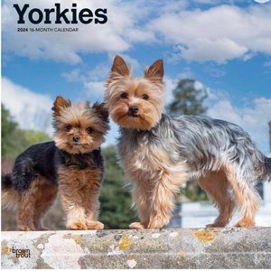 Meet your Posher, Timothy